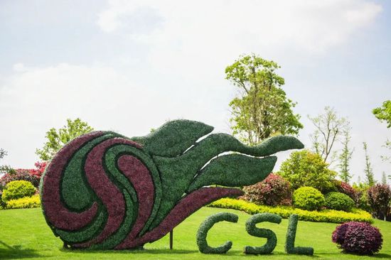 国内球员无限额转会! 恢复主客场方案仍在推动