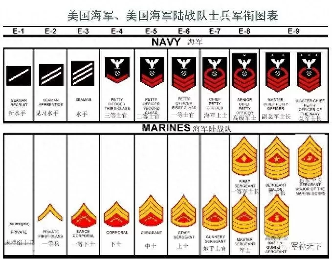 刘国梁属于什么级干部